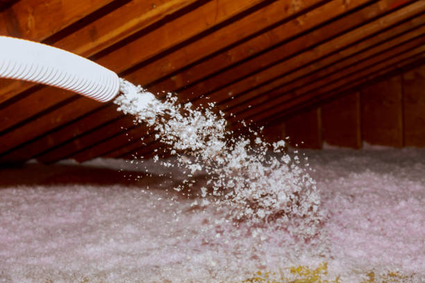 Best Types of Insulation in Raymond, WA